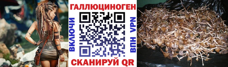 гидра ТОР Калязин Галлюциногенные грибы ЛСД